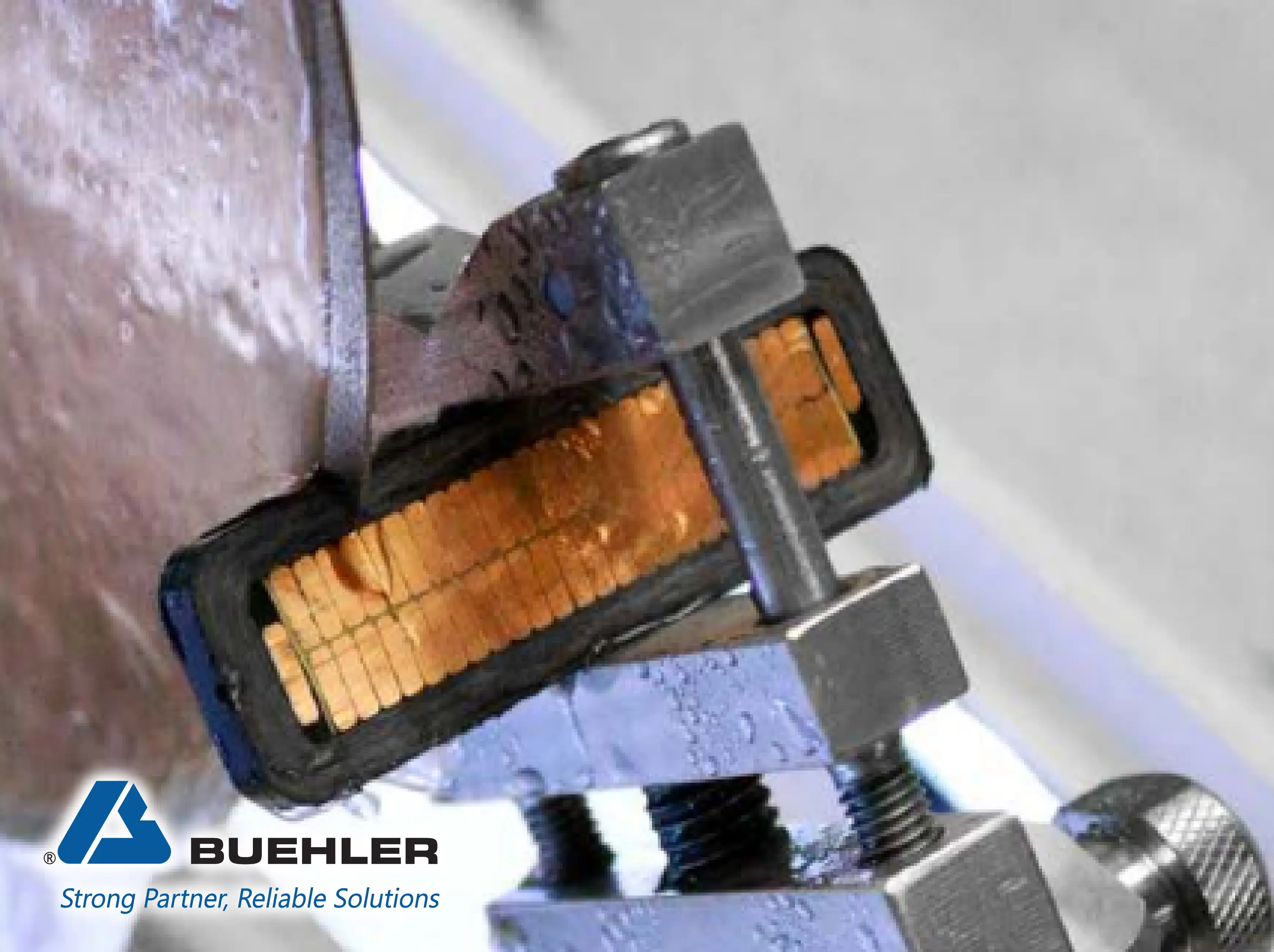 Buehler Cold Mounting